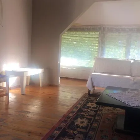 Appartement With 2 Bedrooms In πεpαία With Wifi